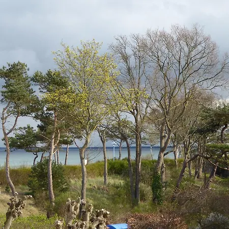 Strandhuhn Juliusruh